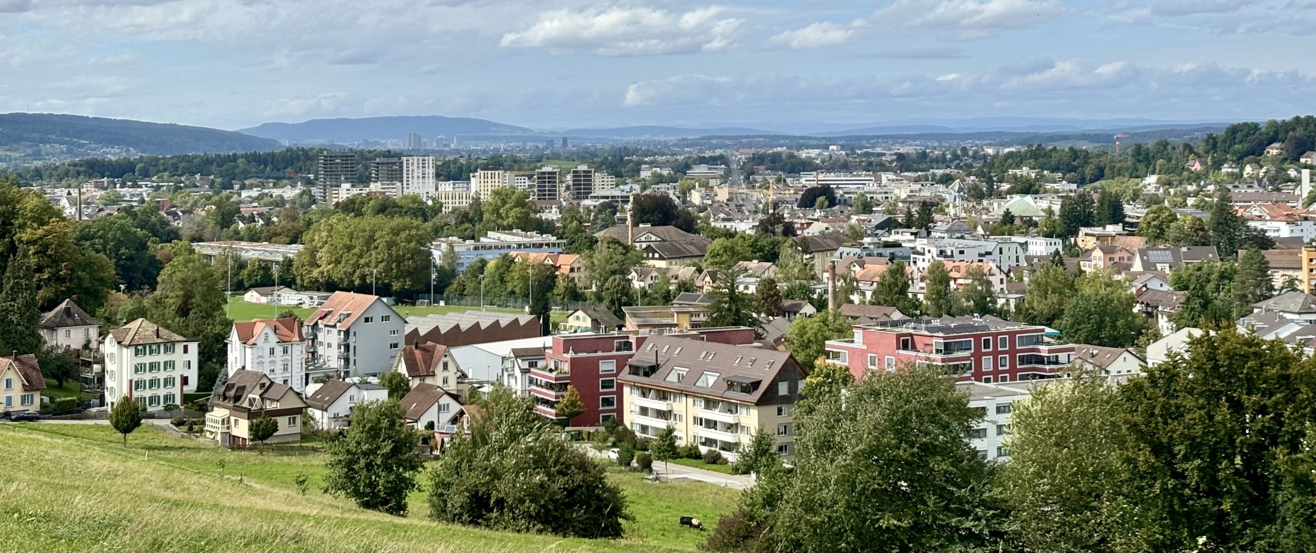 Hintergrundbild deine meinung zählt